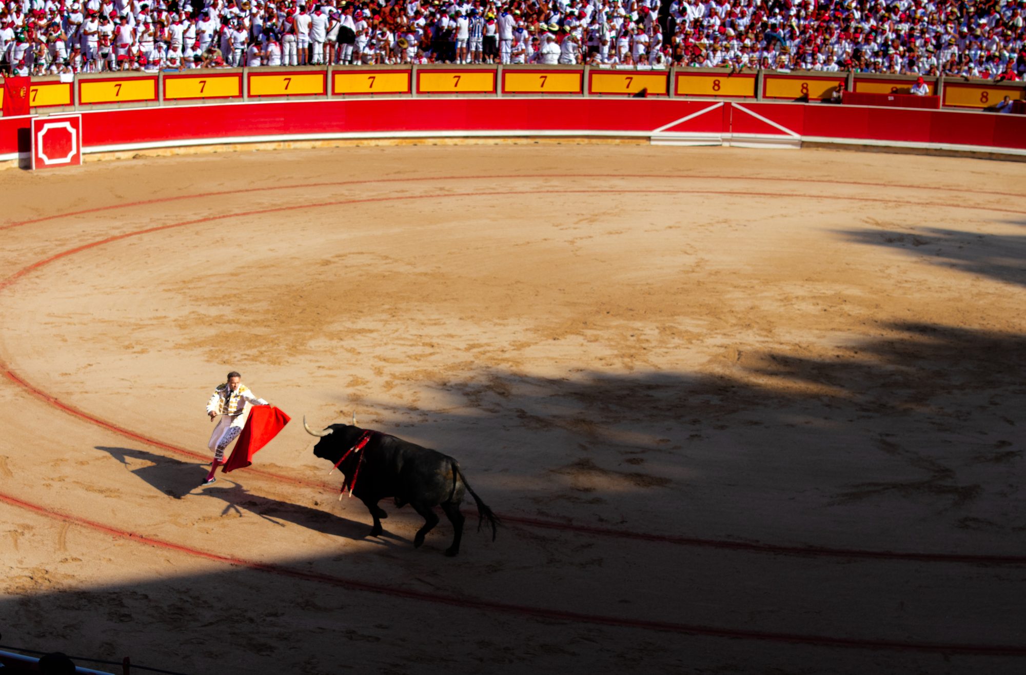 Bull charges through hard afternoon shadow, banderillas trailing