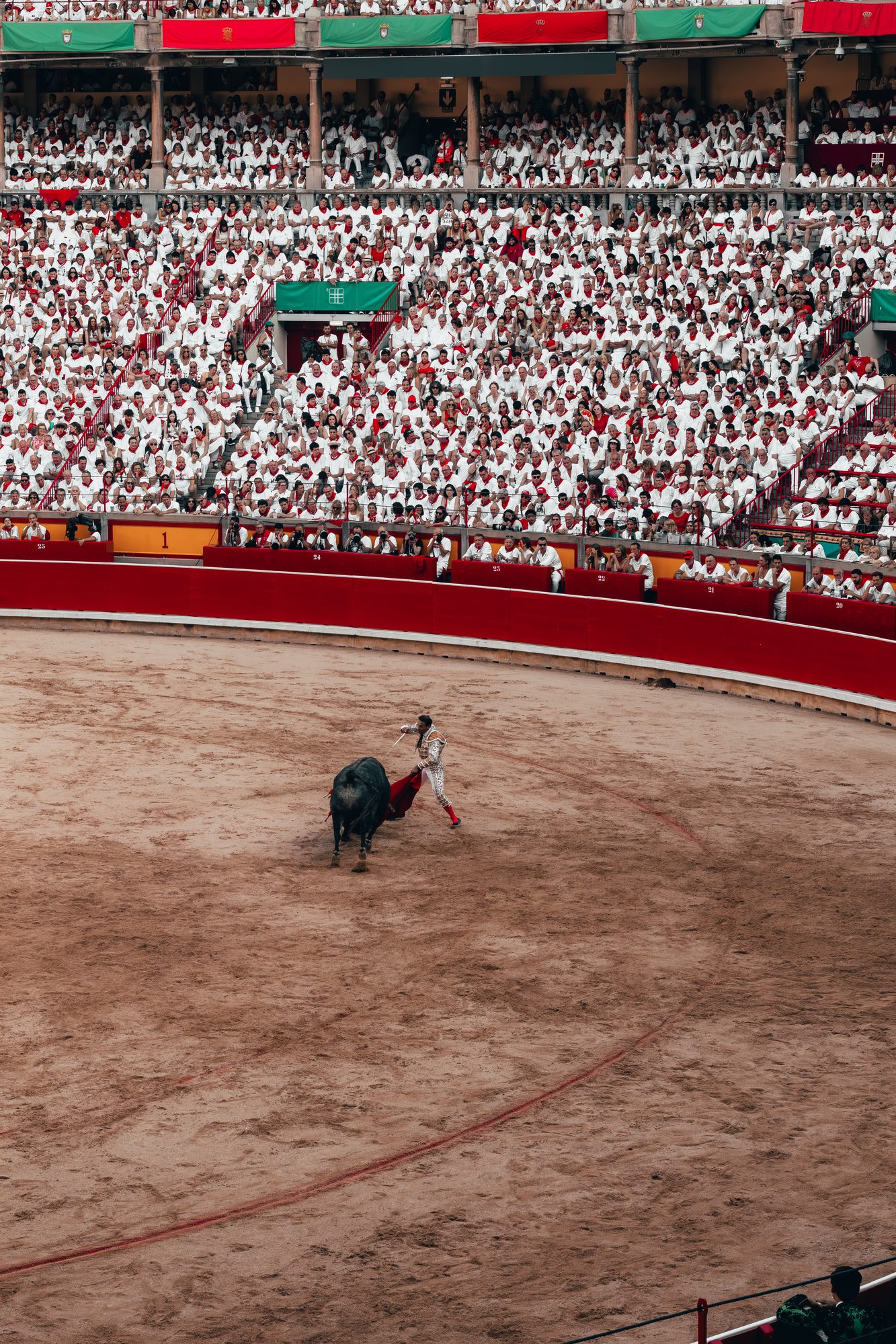 The matador profiles for the kill, sword out over the bull