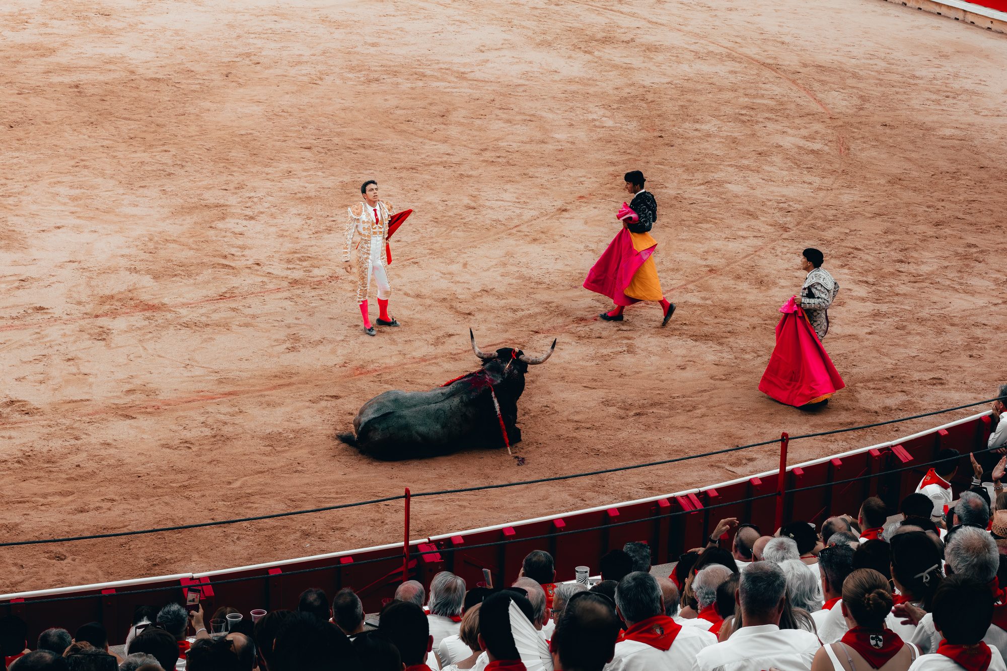 The bull down on the sand, the cuadrilla walking away