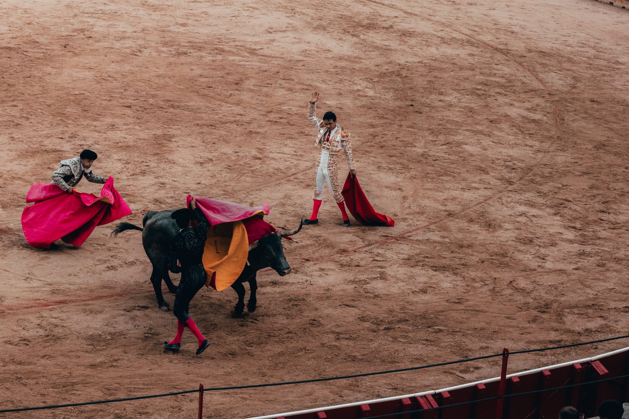 Matador salutes as banderilleros work the bull with pink capotes